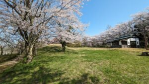 町内にある志乎・桜の里古墳公園の風景